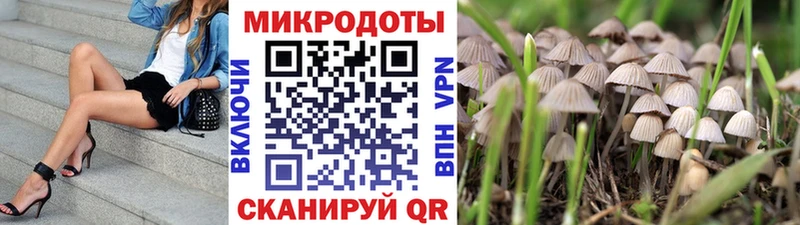 цена наркотик  Кашин  Псилоцибиновые грибы MAGIC MUSHROOMS 