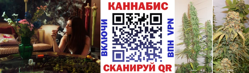 Марихуана индика что такое Кашин